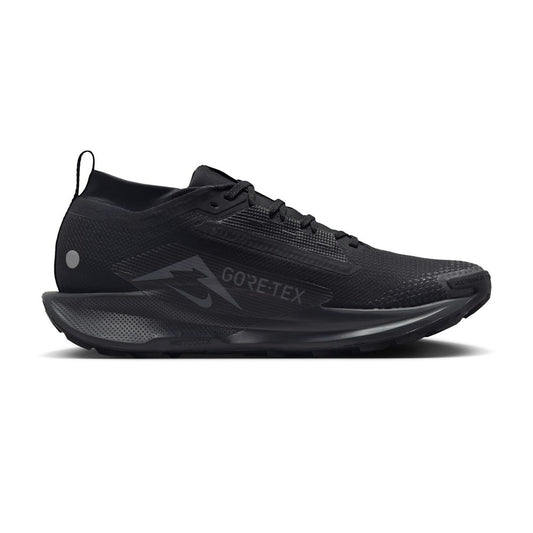 Nike Pegasus Trail 5 GORE-TEX Black