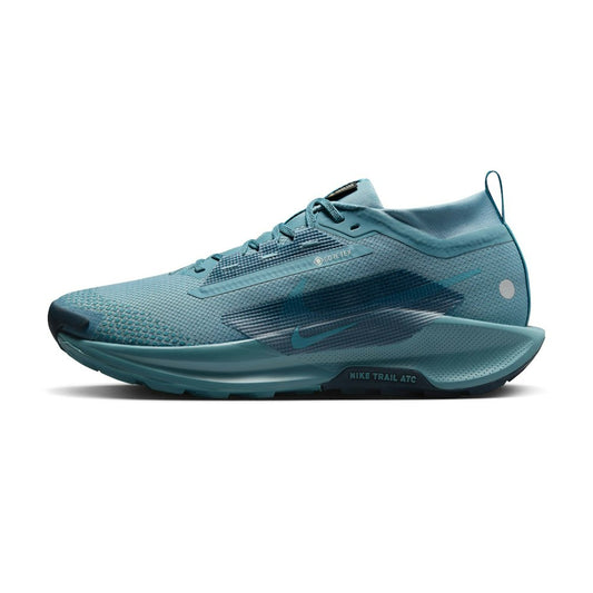 Nike Pegasus Trail 5 GORE-TEX