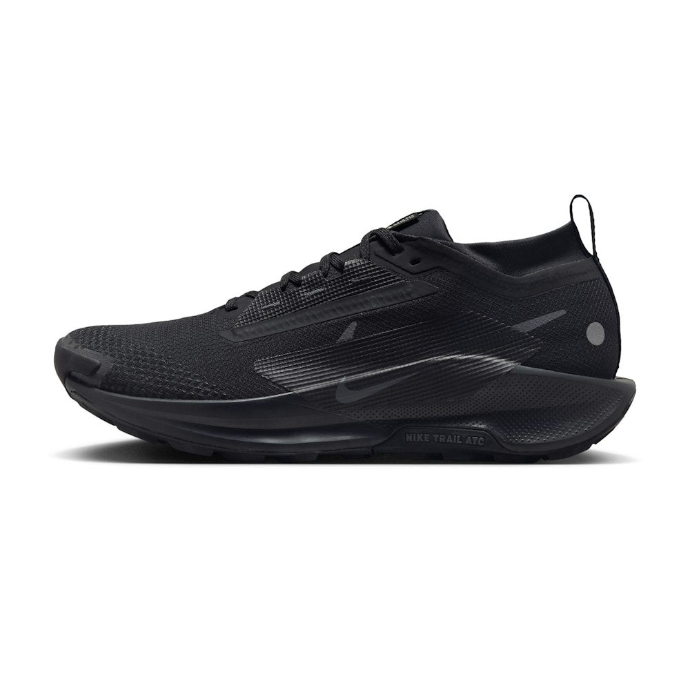 Nike Pegasus Trail 5 GORE-TEX Black