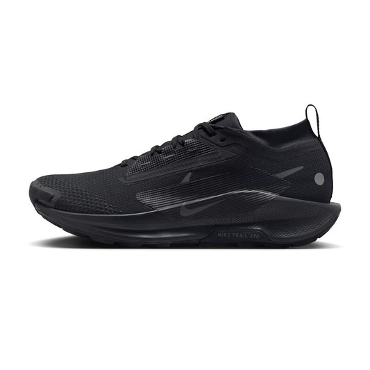 Nike Pegasus Trail 5 GORE-TEX Black
