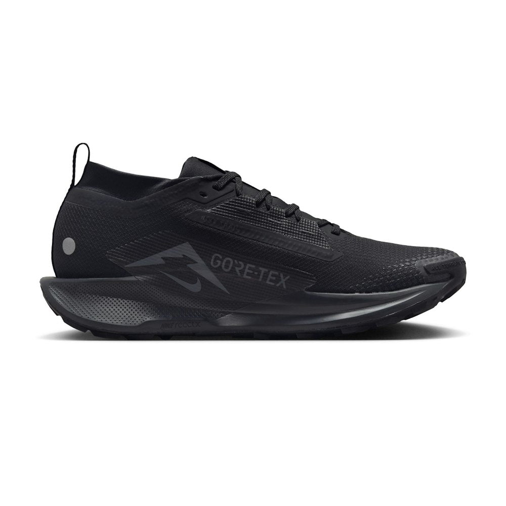 Nike Pegasus Trail 5 GORE-TEX Black