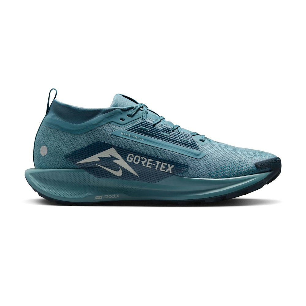 Nike Pegasus Trail 5 GORE-TEX